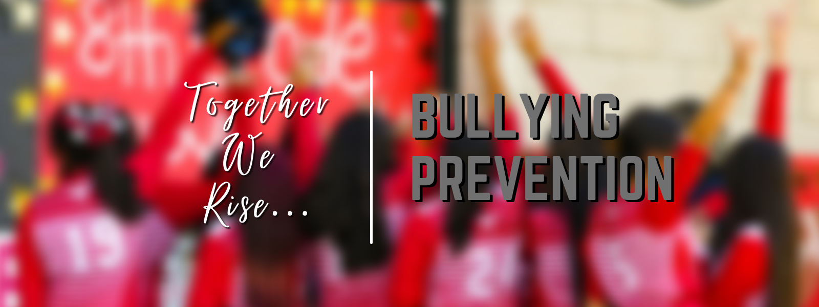 desmond bullying prevention 